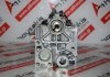 Cylinder Head 46770033, 71715332, 71718053, 71736318, 71739154 for FIAT