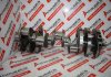 Kurbelwelle 4030310201, 4030303001 zum MERCEDES OM403