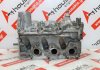 Zylinderkopf 03D103374F, 03D103351A, 03D103265AX, 03D103265X zum VW, SEAT, SKODA BMD, AWY, BBM, CHF