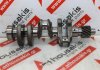 Kurbelwelle C74 , E74, 119623-21700, 119624-21700, 3TNE72K, 3TNE74, 3D74E zum YANMAR, KOMATSU 3TNE72K, 3TNE74, 3D74E