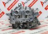 Culata 55599663, 55494391, 55499181 para OPEL B20DTH