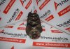 Albero motore 4644 1438, 46441437 per FIAT 176B2