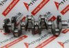 Albero motore 65117, 6510302501, 6510300500 per MERCEDES OM651