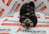 Στρόφαλος FE50-11-301A, FE50-11-301B για MAZDA FE