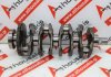 Albero motore 6645, 2.2 JTD, 71779412, 73503942 per ALFA ROMEO, JEEP EBH, 46335692, 46335975, 55266388, 55268532, 55268818, 55271040, 55271838, 55271888, 55275156, 55284529, 55284636