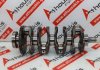 Albero motore 6645, 2.2 JTD, 71779412, 73503942 per ALFA ROMEO, JEEP EBH, 46335692, 46335975, 55266388, 55268532, 55268818, 55271040, 55271838, 55271888, 55275156, 55284529, 55284636