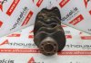 Коленчатый вал G62B, G63B, MD071733 для MITSUBISHI G62B, G63, G63B, 4G63