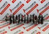 Vilebrequin 7643258, 764325704, 11217643257 pour BMW B58