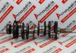 Στρόφαλος 53021409, EVC, 53021407AA για JEEP, CHRYSLER, DODGE EVC