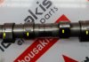 Camshaft 1N2G6250CB, 1320756 for FORD A9JA, A9JB