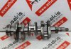 Kurbelwelle 5641928, E673L zum SHIBAURA, CATERPILLAR, PERKINS E673L