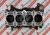 Motorblock 55209125 zum FIAT, ALFA ROMEO 