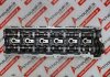 Testata 6130101420 per MERCEDES 648960, 648961