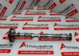 Camshaft 06Q101A, 06Q109021B, 06Q109021C for VW, AUDI 