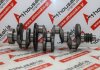 Crankshaft DE22, 6110300101, 6460300001 for MERCEDES OM611, OM646