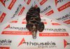 Kurbelwelle 4ZZ, 13401-22040 zum TOYOTA 4ZZ-FE