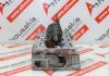 Cylinder Head 8168, 7700715244, 7702164346 for RENAULT 