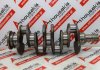Kurbelwelle 3641201, 3640301102, 3640300702, 3640301402, 3640301302 zum MERCEDES OM364