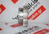 Nockenwellenrad 9813097580 zum PEUGEOT, CITROEN, OPEL 