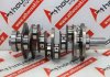 Kurbelwelle 2144F, 2233F, 68147110AB, 68147110AA zum JEEP, MASERATI, DODGE EXN, EXF, VM24D, VM43D, VM44D, VM63D, VM64D, M16164D, M15746D, A630HP