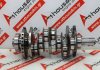 Kurbelwelle 2144F, 2233F, 68147110AB, 68147110AA zum JEEP, MASERATI, DODGE EXN, EXF, VM24D, VM43D, VM44D, VM63D, VM64D, M16164D, M15746D, A630HP
