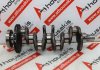 Kurbelwelle 55202818, 71769903, 71753030, 71754166, 73504130, 12221-62M00 zum FIAT, ALFA ROMEO, SUZUKI 939B1, 940A1, 955A3, 198A2, 198A3, 198A6, 199B5, 263A3, 263A4, 263A5, 263A8, 263A9, 940A3, 940C1, 955A4, D16AA, 46346020, 55280444, 55260384