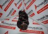 Kurbelwelle 2NZ, 13401-21030 zum TOYOTA 2NZ-FE
