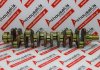Vilebrequin 13411-17012, 13411-17010, 119770-00292 pour TOYOTA, YANMAR 1HD-T, 1HD-FT, 1HD-FTE, 1HZ, 6LP, 6LPA
