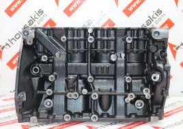 Motorblock 110115733R zum NISSAN, RENAULT, MERCEDES, OPEL R9M