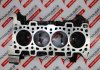 Motorblock 110115733R zum NISSAN, RENAULT, MERCEDES, OPEL R9M