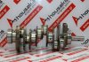 Crankshaft 6420302601, 6420301601, 6420300901, 6420301901, 6420302401, 68136832AB, 05175344AA, 5179462AA, 68018731AA for MERCEDES, JEEP 