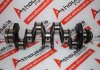 Cigüeñal 502295018, 504018150, 5801486982, 504017281 para FIAT, IVECO, PEUGEOT, CITROEN F1AE0481, F1AE3481