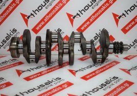 Kurbelwelle DE22, 6460300001 zum MERCEDES OM646 ( 646811, 646812, 646820, 646821 )
