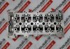 Cylinder Head 55212117, 71753830, 71753335, 71753831, 71754797, 71775701, 71794064, 71794066, 71794408, 71794693, 71773878 for FIAT, ALFA ROMEO 198A2, 198A3, 199B5, 263A3, 263A4, 263A5, 263A8, 263A9, 940A3, 955A4, 250A1