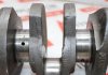 Kurbelwelle 3LB1 zum ISUZU 3LB1