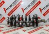 Crankshaft 849, 1456892, 7M5Q6303AB, 9652985288, 0501K6, 9800993080, 31259217 for PEUGEOT, CITROEN, FORD, VOLVO 9HC, 9HD, 9HH, 9HF, 9HJ, 9HL, 9HM, 9HN, 9HP, 9HR, 9HT, 9HU, 9HV, 9HW, 9H05, 9H06, BH01, BH02, BH06, BHX, BHV, BHZ, BHY, BHW, G8DA, G8DB, G8DC, G8DD, HHJA, HHJB, HHJE, HHJC, HHDA, HHDB, GPDA, GPDC, MTDA, KVJA, NGCA, T1BA, T1BB, T1BC, T1DA, T1DB, T1WA, T1WB, T3CA, T3CB, T3CC, T3DA, T3DB, T3JA, TZGA, TZGB, TZJA, TZJB, U3CA, UGCA, UGCB, UGCC, UGJC, UGJE, UGJG, UGJM, XUCA, XUCC, XUCD, XUJA, XUJB, XUJC, XUJD, XUJE, XUJF, XUJG, XUJH, XUJK, XUJL, XUJM, XUJN, XVCA, XVCB, XVCC, XVJC, XVJD, XWCA, XWCB, XWDA, XWDB, XWDC, XWDD, XWDE, XWGA, XWGB, XWGC, XXDC, D4162T