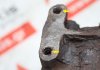 Testata 3TNV76, 3TNV80, 119717-11740, 119746-11740 per YANMAR 3TNV76, 3TNV80