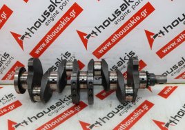 Kurbelwelle 161, 0501J1 zum PEUGEOT, CITROEN XUD11A (P9A)
