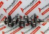 Kurbelwelle 161, 0501J1 zum PEUGEOT, CITROEN XUD11A (P9A)