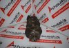 Vilebrequin D14Z5, D14Z6, 13310-PLA-G00 pour HONDA D14Z5, D14Z6