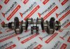 Cigüeñal 98449226, 98451529, 4785110 para FIAT, IVECO 