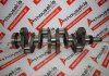 Kurbelwelle 4785103, 4785104 zum FIAT, IVECO 