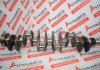 Kurbelwelle TD61, TD63, 24427376, 8192122, 420662 zum VOLVO TD61, TD63