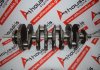 Kurbelwelle 24430375, 939A5, Z22YH, 71739690, 71739690, 24424831, 55563130 zum ALFA ROMEO 939A5, Z22YH