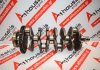 Kurbelwelle 55193576, 71739159 zum ALFA ROMEO 937A1, 937A2