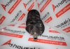 Crankshaft G4EE, 23111-26400 for HYUNDAI, KIA G4EE