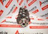 Kurbelwelle 04E105101AR zum AUDI, SEAT, SKODA, VW CHP, CMB, CPT, CPV, CPW, CXS, CVN, CZC, CZD, CZE