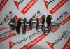 Kurbelwelle 0574R, 12201-00Q1C, 12201-4121R zum RENAULT, NISSAN H4B400, H4B401, HR09DET