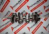 Kurbelwelle 283, 71779378, 71775285, 68229261ΑΑ zum FIAT, JEEP 55263087, 55263088, EBS, EBT, LMY61