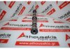 Camshaft 502270041, F1A, 504096183, 504006995, 504174775 for FIAT, IVECO F1A